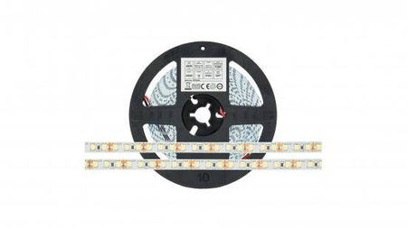 Taśma 600 LED 2835 SMD 12V Biały Zimny RA80