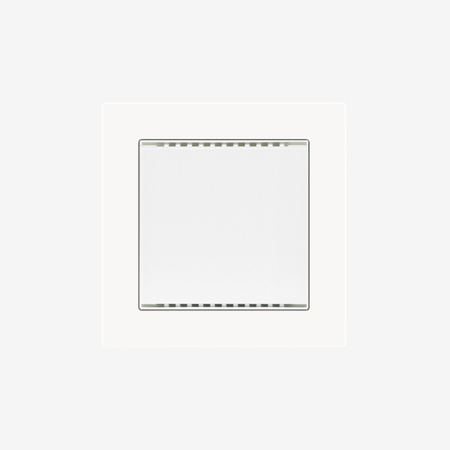 WS1000 Connect-8, Elsner