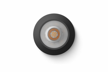 Loxone spot LED RGBW Tree antracytowy