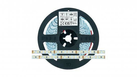 Taśma 600 LED 2835 SMD 24V biała zimna 6500K RA80