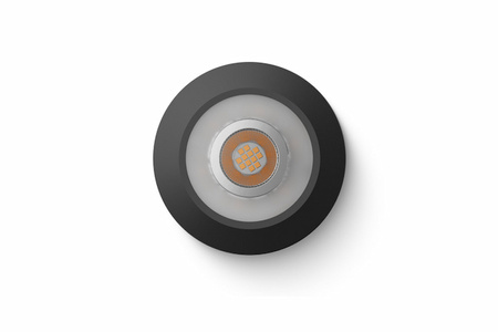 Loxone spot LED RGBW Tree antracytowy