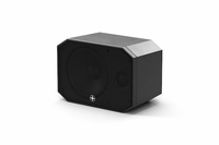 Loxone Satellite Speaker IP64 Master